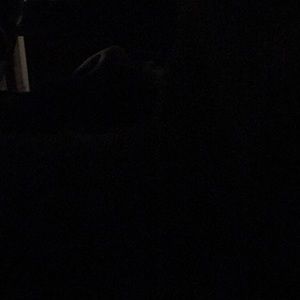 Meet your Posher, Erik